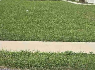 Joe J.'s Lawn Care service result