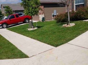 Djara I.'s Grass Cutting service result