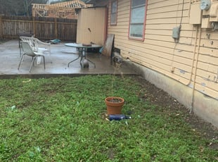 Leaf Removal by Melissa Robinson for Maria P. in San Antonio, TX