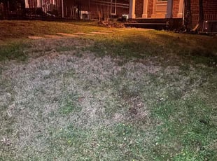 Leaf Removal by Nelly Arredondo for Brendan s. in Arlington, VA