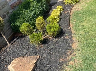 Weeding by Cesar Zuniga for Sarah I. in Mustang, OK