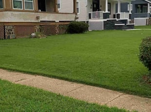 NORA C.'s Lawn Mowing service result