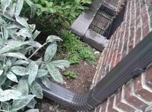 Weeding by Tim Martin for Melissa S. in Minneapolis, MN