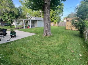 LeAnne N.'s Yard Cutting service result