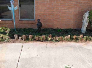 Weeding by Dakota Lally for Paula P. in Midwest City, OK