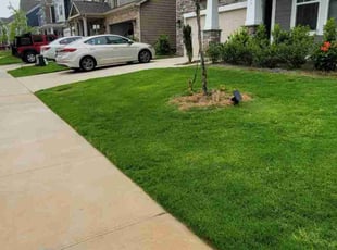 Anita K.'s Lawn Care service result