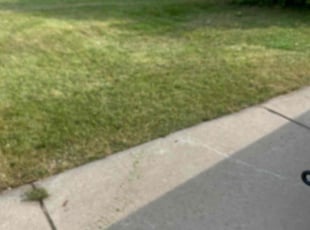 Jon L.'s Lawn Mowing service result
