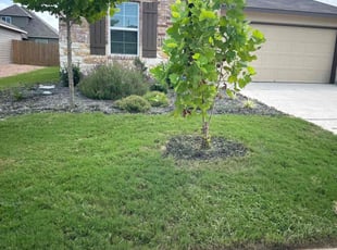 Laine K.'s Lawn Maintenance service result