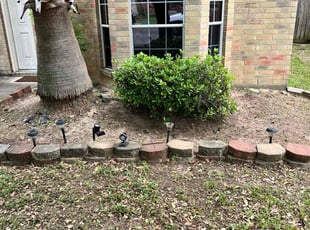 Weeding by Blayke Elder for Raven J. in Spring, TX