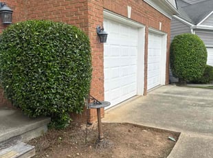 Bush Trimming by Guillermo Domenech for Khaliah S. in Duluth, GA