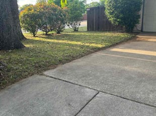 Laura L.'s Lawn Mowing service result