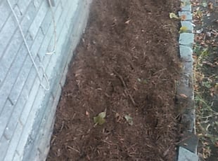Mulching by Keith Lamkin for Jacob S. in San Antonio, TX