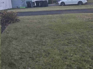 Leaf Removal by Kristeen Gusa for Iftu F. in Ramsey, MN