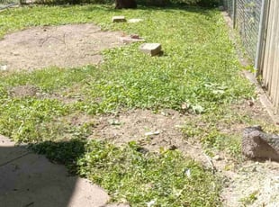 Cleanups by for David S. in Minneapolis, MN