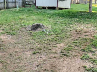 Leaf Removal by Brian Foulks for Alyce K. in Gastonia, NC
