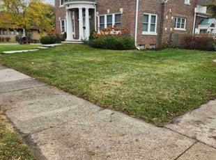 Leaf Removal by Ronnie Anderson for Thomas B. in Wauwatosa, WI