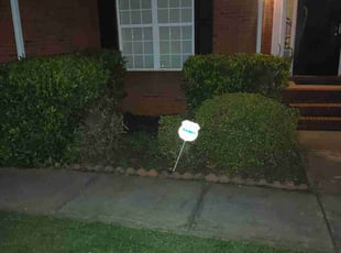 Bush Trimming by Lamartei Diggs for Emron W. in Ellenwood, GA