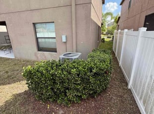 Bush Trimming by Arely Elrod for Justin H. in Ruskin, FL