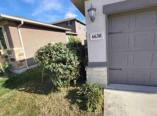 Bush Trimming by Jason Westgor for Andrew L. in San Antonio, TX