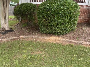 Bush Trimming by Michael Clark for Eric S. in Cartersville, GA