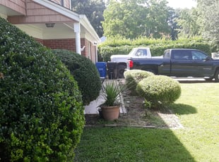 Bush Trimming by Trevor Philipp for Leisiris R. in Virginia Beach, VA