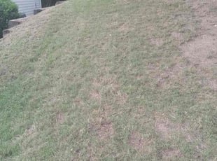 Landscaping by Robbin Mccurdy for Eleme E. in Lawrenceville, GA