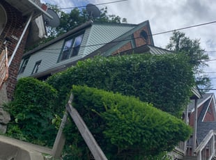 Bush Trimming by Anthony Pampuch for Donald R. in Pittsburgh, PA