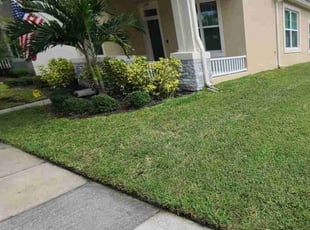 Gloria D.'s Grass Cutting service result