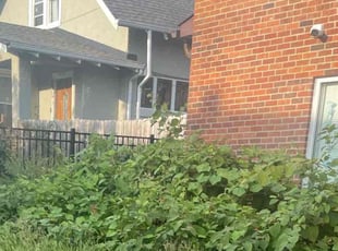 Bush Trimming by Ernest Hale III for Hudeyfa F. in Minneapolis, MN