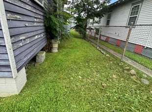 andria k.'s Lawn Mowing service result