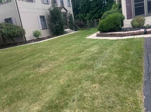 Christine E.'s Lawn Maintenance service result