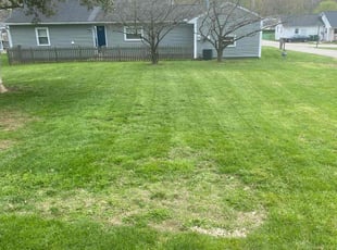 Kattie J.'s Grass Cutting service result