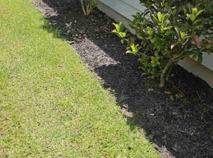 Connie W.'s Flower Bed Weeding service result