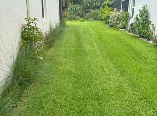 Danny L.'s Lawn Mowing Service service result
