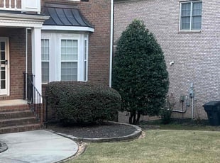 Bush Trimming by Rigoberto V ruiz for Brandon J. in Charlotte, NC