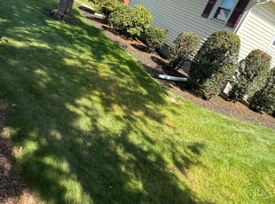 John E.'s Lawn Maintenance service result