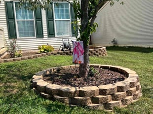 Weeding by Alberth Alvarez for Todd C. in Manassas Park, VA