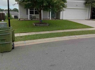 Melody S.'s Lawn Mowing service result