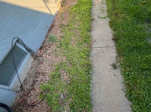 Weeding by Alexis Campbell for Kelsey K. in Saint Paul, MN