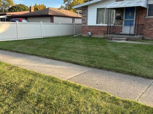 INDIRA G.'s Lawn Mowing service result