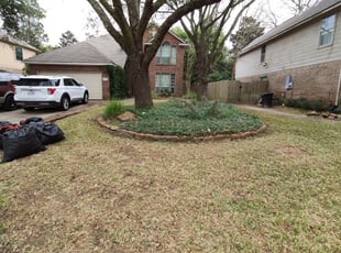 Leaf Removal by Eli Diaz for Rilee M. in Humble, TX