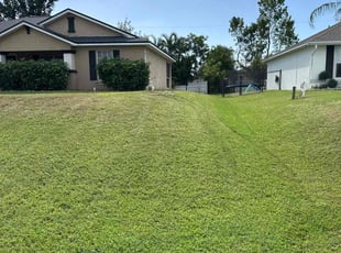 Gecenia M.'s Lawn Care service result