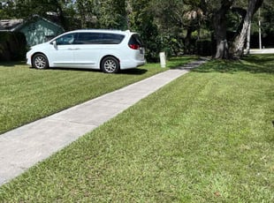 Kara T.'s Lawn Mowing service result