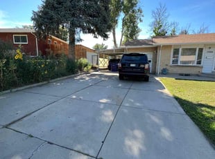 Cleanups by David Williams for Hunter S. in Denver, CO