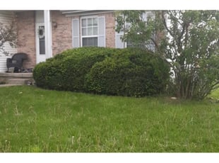 Bush Trimming by Dave Ehrenberg for Misty T. in Pickerington, OH