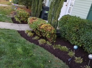 Deborah B.'s Mulching service result