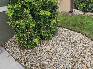 Weeding by Tammy Becker for Paul O. in Melbourne, FL