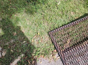 Bush Trimming by Donnie Jones for Charles H. in Tallahassee, FL