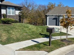 Leaf Removal by Okoye West for Charlie&Sasha H. in Kansas City, MO