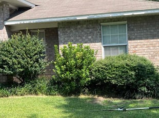 Bush Trimming by Shaun Gaston for Debbie L. in Gulf Breeze, FL